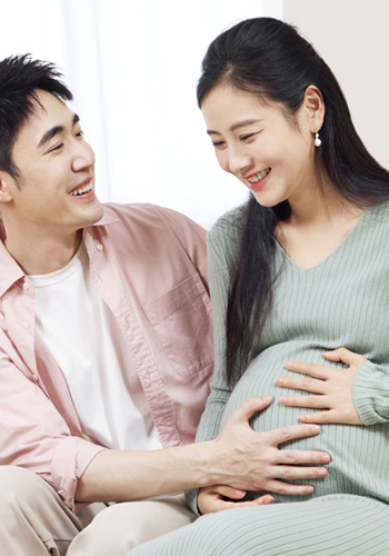 美国借卵公司